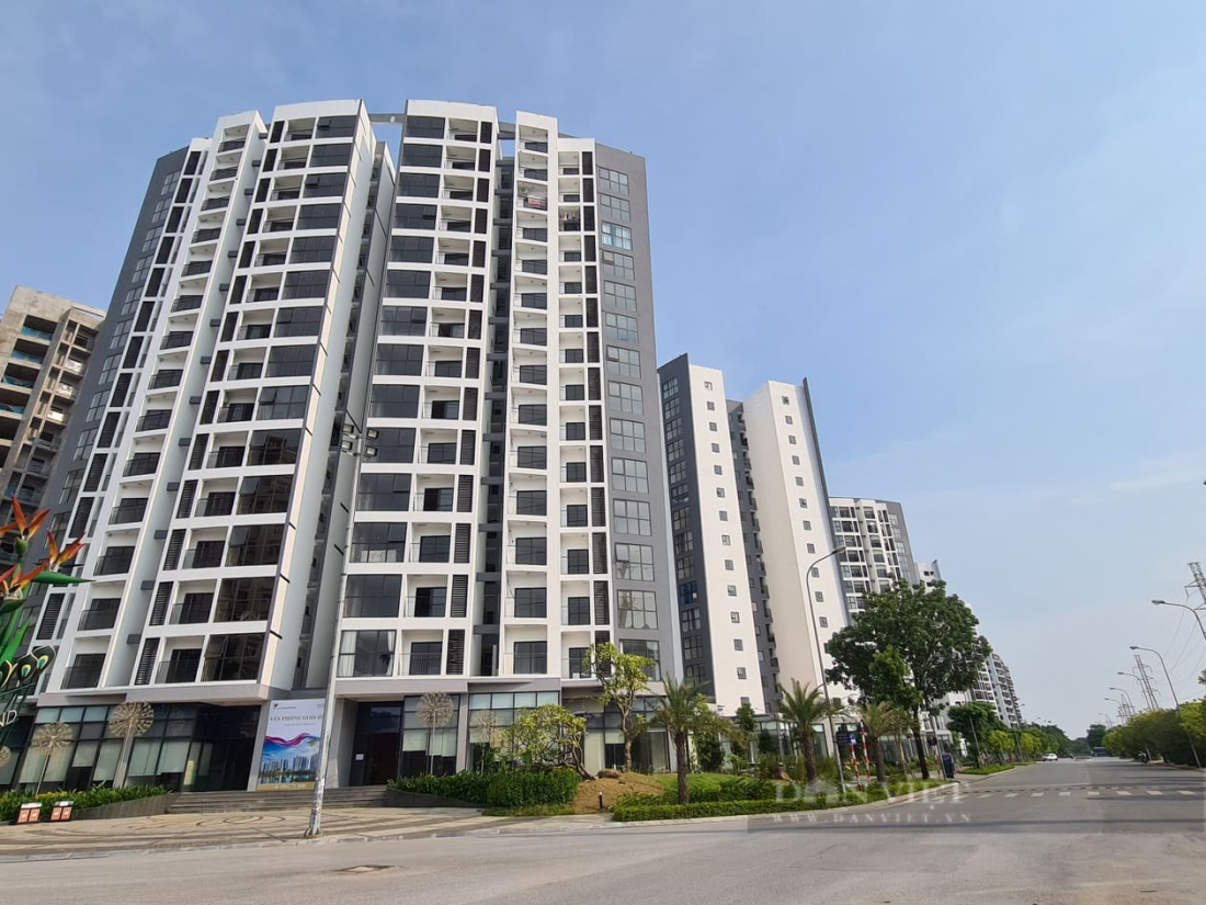 Đầu tư đất ở quê, sau 3 năm chàng trai 9X mua căn hộ hơn 2 tỷ đồng ở Hà Nội Đầu tư đất ở quê, sau 3 năm chàng trai 9X mua căn hộ hơn 2 tỷ đồng ở Hà Nội