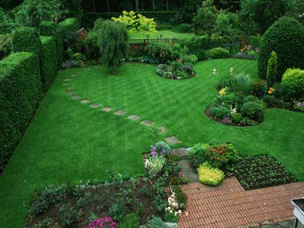 6 loại cỏ trồng sân vườn thông dụng hiện nay