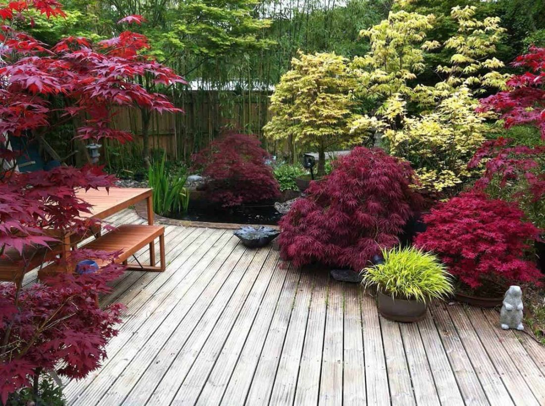 6 lựa chọn vật liệu hàng rào phổ biến cho khu vườn nhà bạn