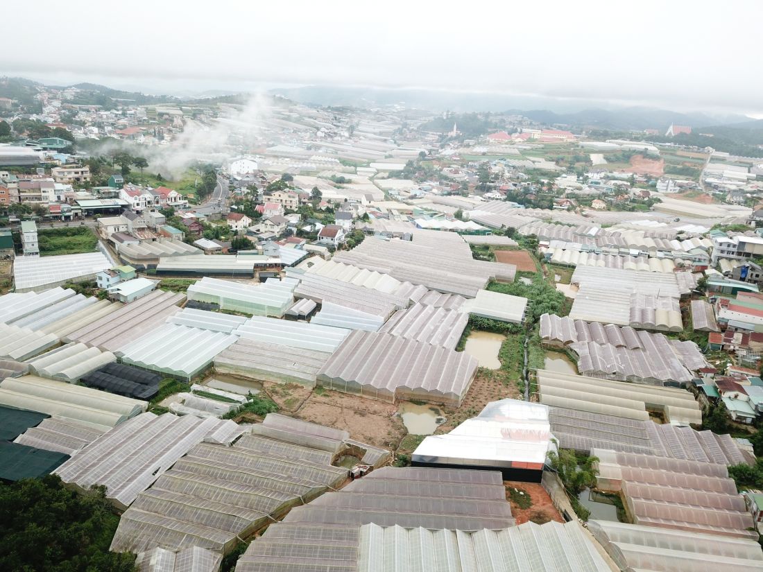 Lâm Đồng: 220ha nhà kính, nhà lưới xây dựng trên đất quy hoạch lâm nghiệp sẽ bị xử lý như thế nào? Lâm Đồng: 220ha nhà kính, nhà lưới xây dựng trên đất quy hoạch lâm nghiệp sẽ bị xử lý như thế nào?