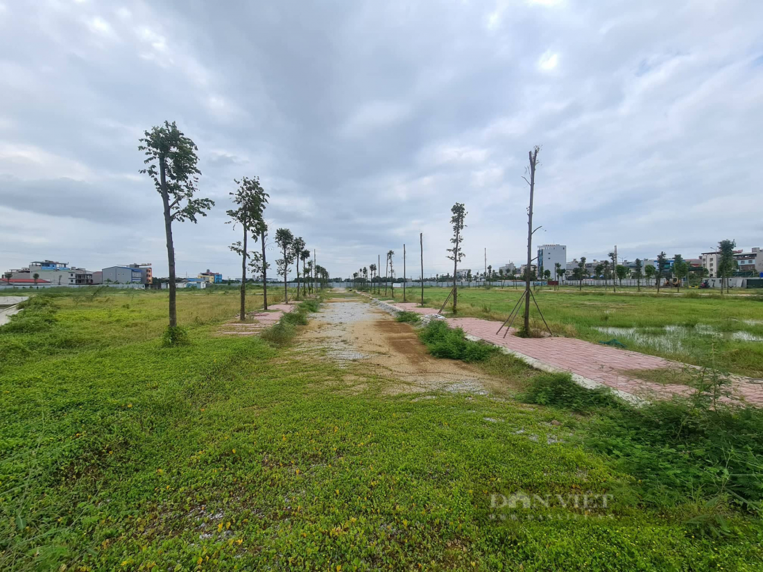 Sau sốt đất, nhà đầu tư mắc kẹt vì ham đất hoang vu giá rẻ