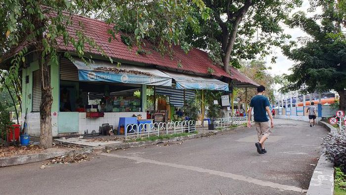 Phủ mảng xanh cho TP HCM