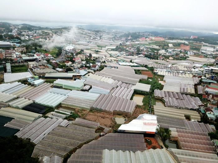 Lâm Đồng: Hàng trăm ha nhà kính xây trái phép trên đất rừng