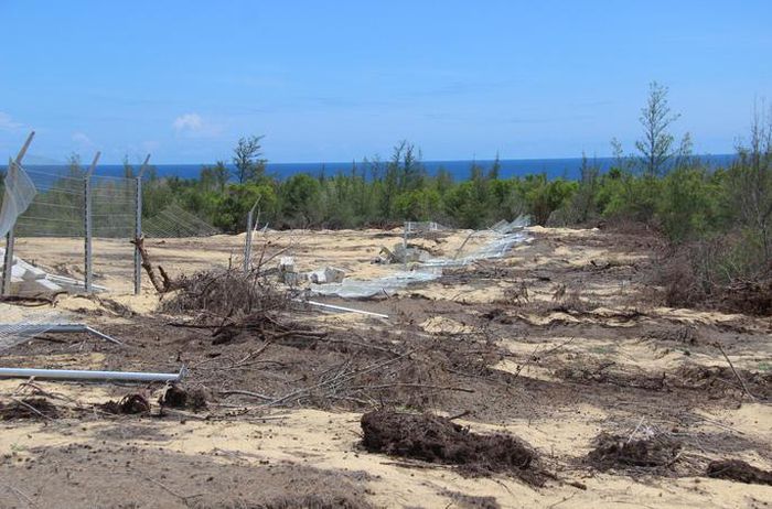 Phá 'nhầm' 5,26 ha rừng phòng hộ làm nhà máy điện: Chủ đầu tư lại đổ lỗi cho dân! Phá 'nhầm' 5,26 ha rừng phòng hộ làm nhà máy điện: Chủ đầu tư lại đổ lỗi cho dân!
