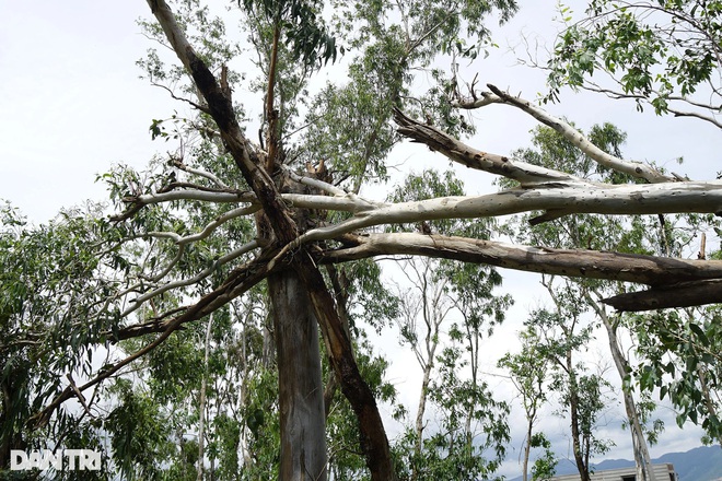 Bình Định: Hàng trăm người đến hẹn lại... bỏ nhà chạy! Bình Định: Hàng trăm người đến hẹn lại... bỏ nhà chạy!