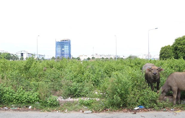 Đất làng lên ngôi