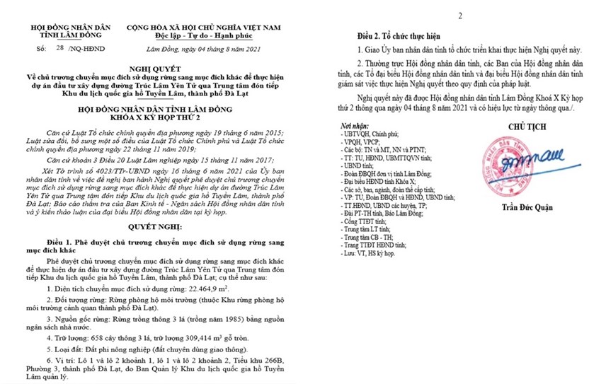 Đà Lạt: Hạ rừng phòng hộ 36 năm tuổi để làm đường dẫn vào khu du lịch