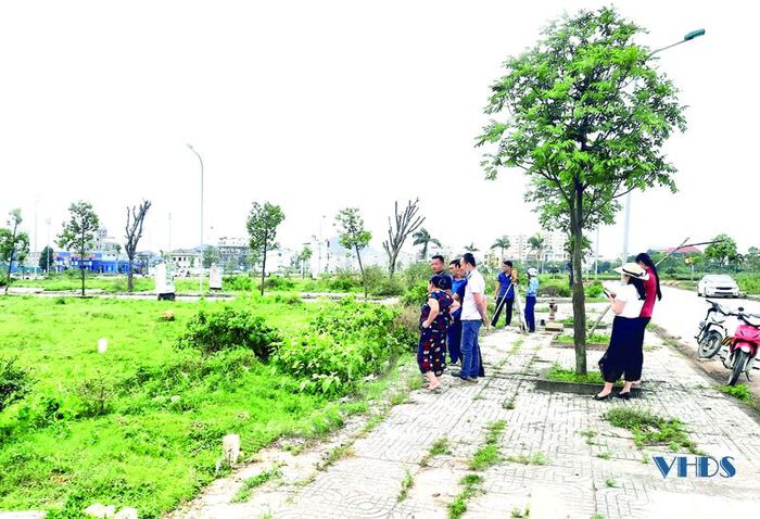 Kịp thời chấn chỉnh tình trạng 'bỏ cọc'sau đấu giá đất