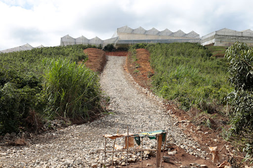 Bất động sản 24h: Lâm Đồng ra quy định mới về tách thửa đất