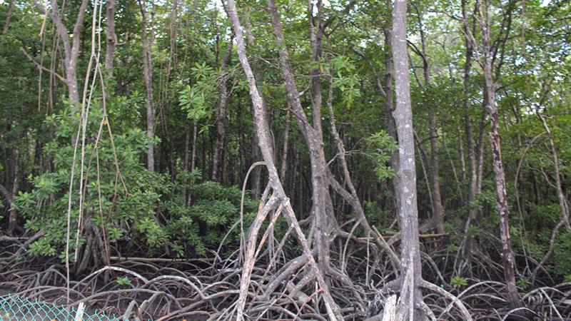 Bà Rịa-Vũng Tàu thu hồi gần 5.600 ha đất để làm 270 dự án