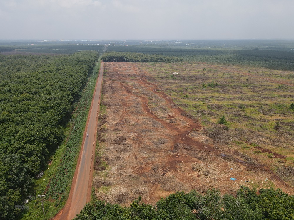 Bất động sản 24h: Ì ạch giải phóng mặt bằng sân bay Long Thành