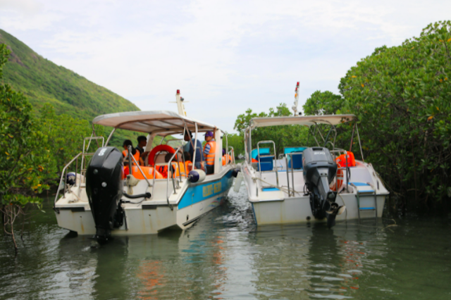 Cho thuê hơn 900 ha rừng vườn quốc gia Côn Đảo làm du lịch