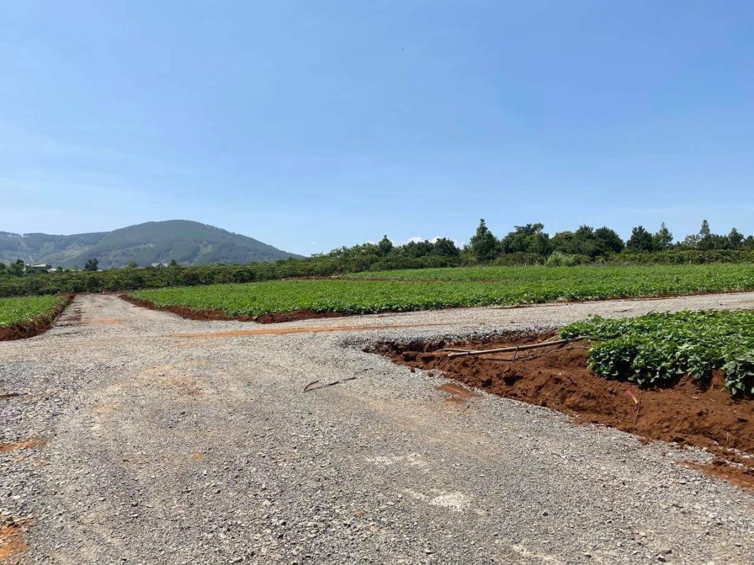 Bất động sản 24h: Cảnh giác tình trạng phân lô bán nền, thổi giá đất