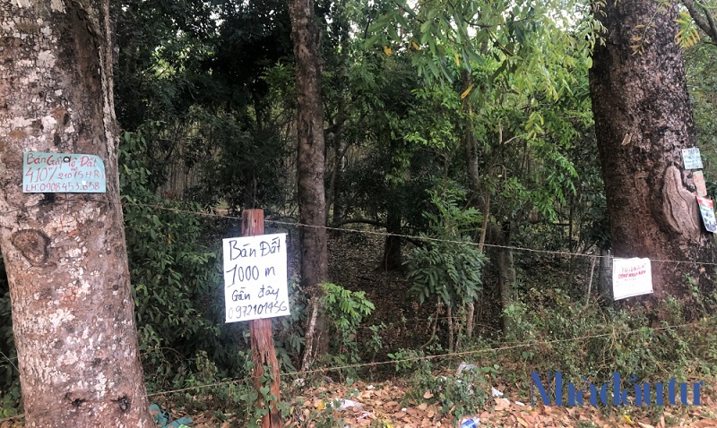 Khó xảy ra tình trạng ‘sốt’ đất dịp cuối năm nay và đầu năm 2022