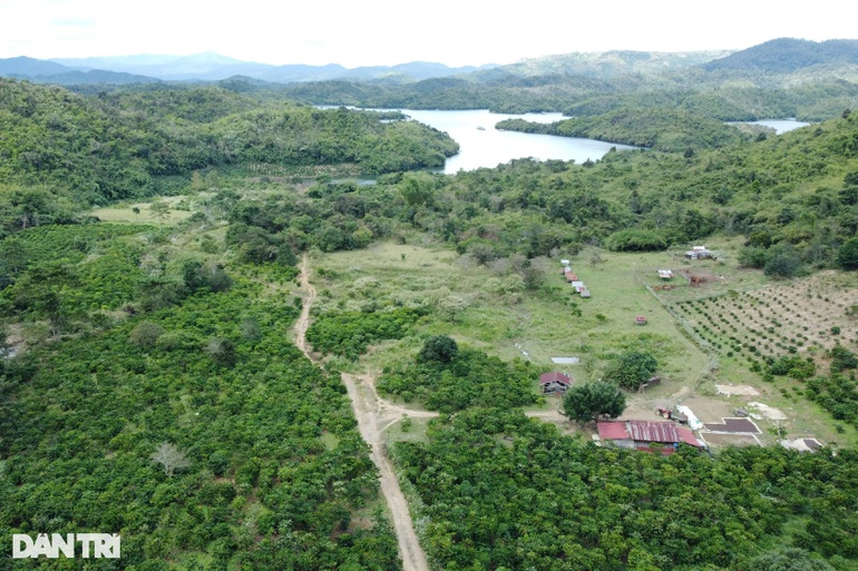 Đắk Nông: Chê khu tái định cư, hơn 40 hộ dân rủ nhau quay về chốn cũ