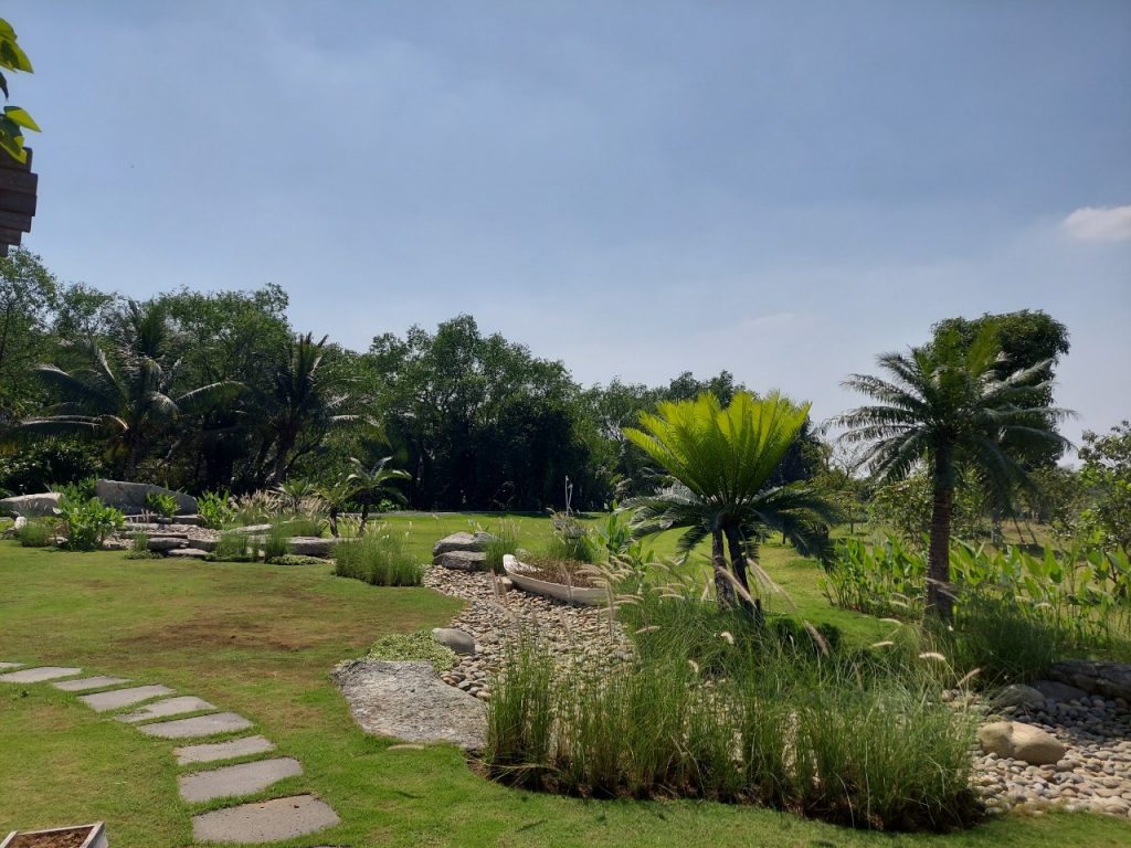 Bất động sản 24h: Đổ xô mua đất vườn