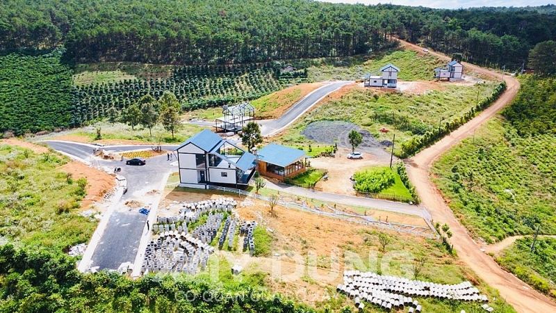 UBND tỉnh Lâm Đồng ‘’lệnh’’ kiểm tra, xử lý thông tin dự án ‘’ma’’, phá rừng tại Bảo Lâm