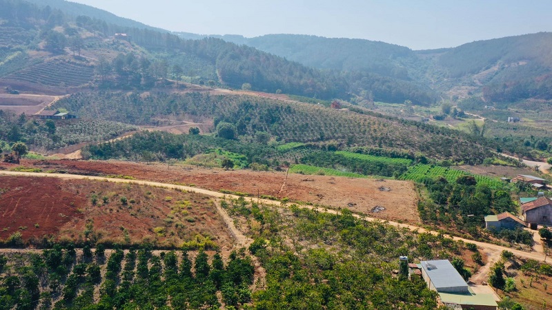 Hai Liên danh với loạt ''ông lớn'' đề xuất lập quy hoạch tại cùng một khu vực 15.000 ha ở Lâm Đồng