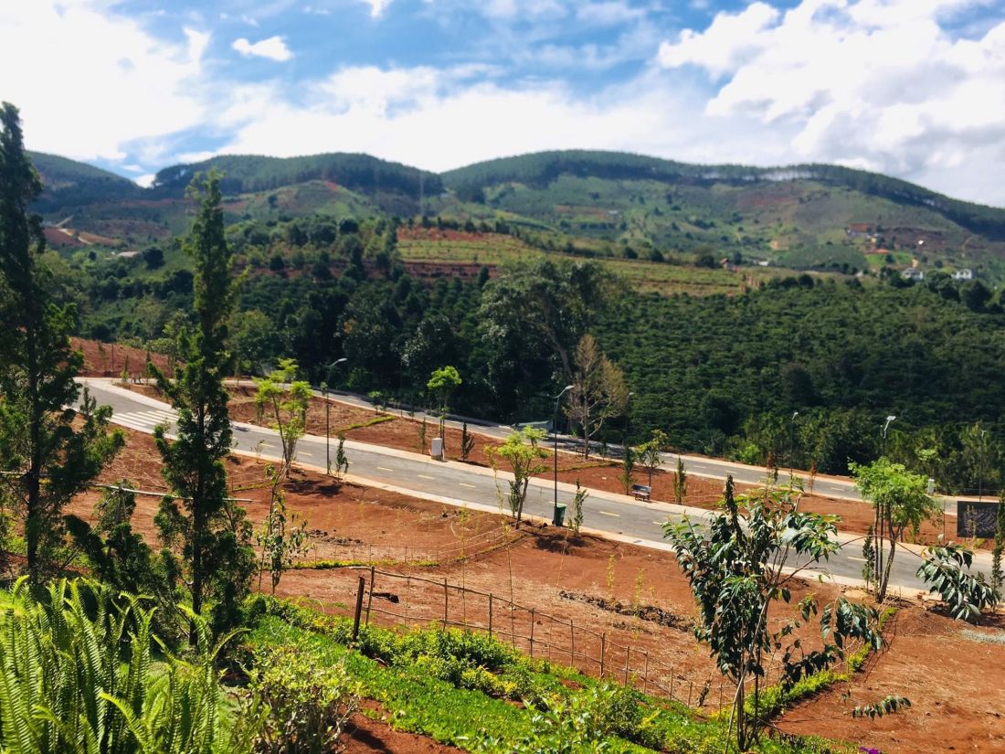 Bất động sản 24h: Lâm Đồng rà soát việc cấp sổ đỏ Bất động sản 24h: Lâm Đồng rà soát việc cấp sổ đỏ