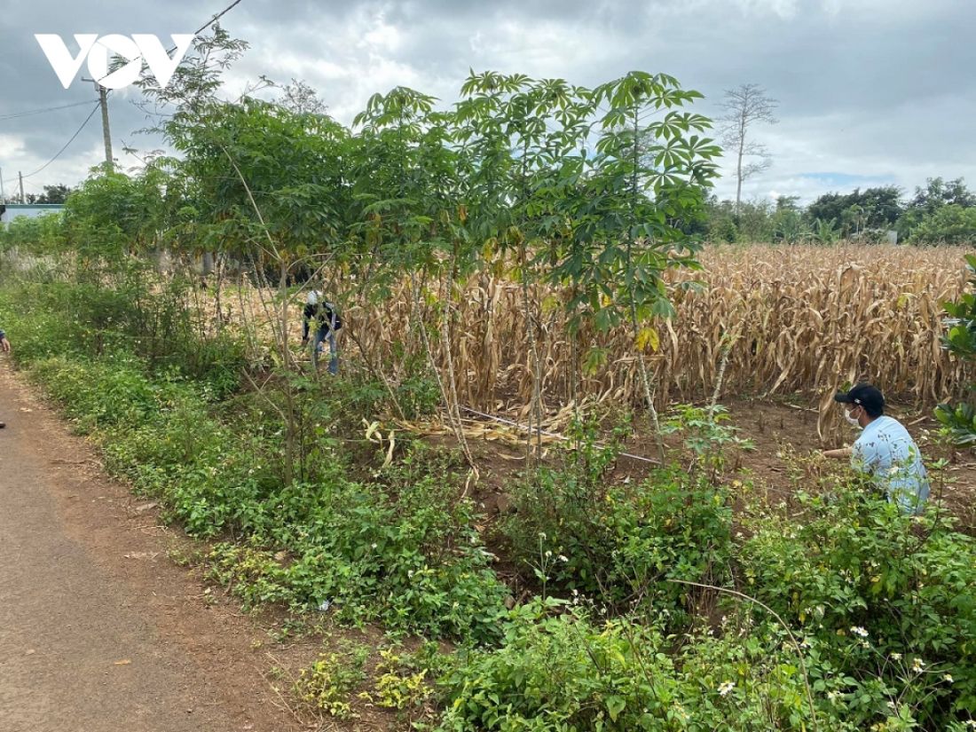 Đắk Lắk tăng cường kiểm soát nguy cơ bong bóng bất động sản Đắk Lắk tăng cường kiểm soát nguy cơ bong bóng bất động sản