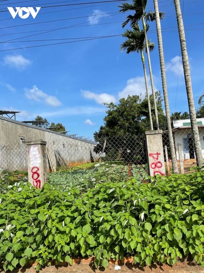 Đắk Lắk tăng cường kiểm soát nguy cơ bong bóng bất động sản Đắk Lắk tăng cường kiểm soát nguy cơ bong bóng bất động sản