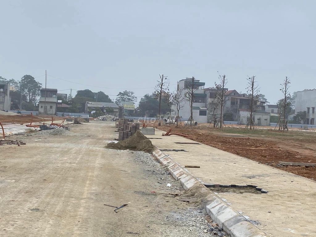 Thị trường bất động sản năm Nhâm Dần: Đất nền tiếp tục chiếm ngôi vương Thị trường bất động sản năm Nhâm Dần: Đất nền tiếp tục chiếm ngôi vương