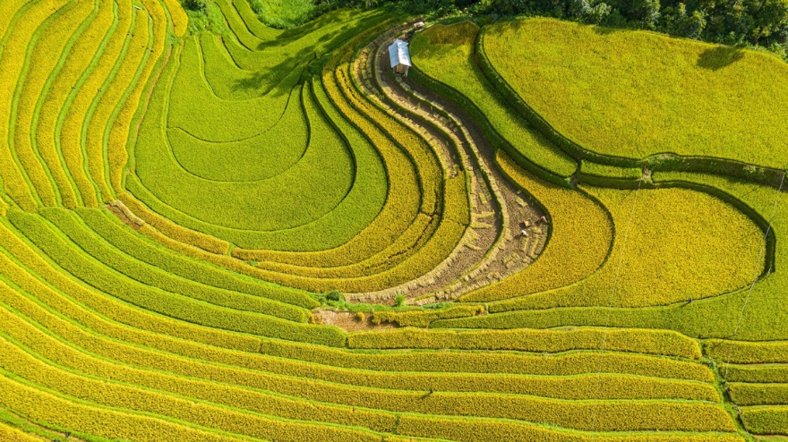Báo Đức chỉ ra 5 lý do nên đến Việt Nam du lịch