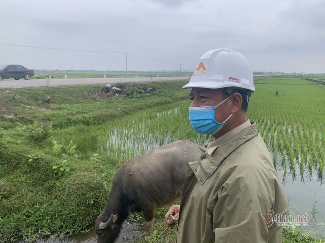 Thu hồi ruộng lúa trả dân 173.000/m2, đưa ra đấu giá gấp 120 lần Thu hồi ruộng lúa trả dân 173.000/m2, đưa ra đấu giá gấp 120 lần