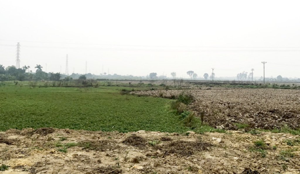 Bất động sản 24h: Cẩn trọng cò chuyển đổi mục đich sử dụng đất Bất động sản 24h: Cẩn trọng cò chuyển đổi mục đich sử dụng đất