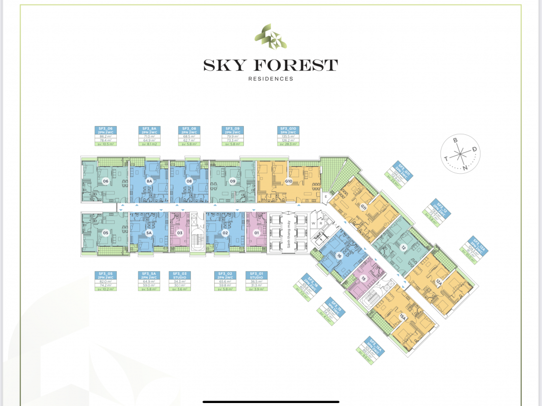 Dự án Sky Forest Residences Ecopark