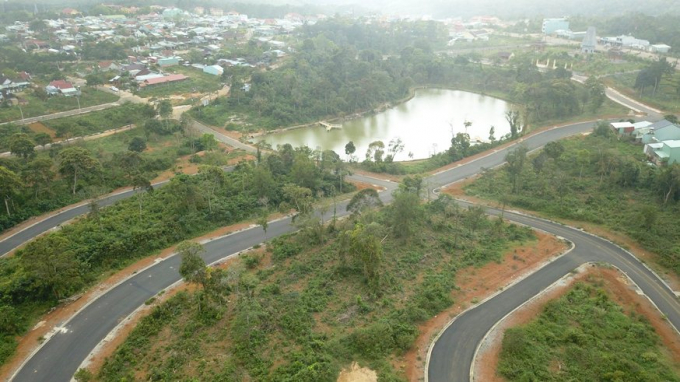Kon Tum: Mở đường, lập dự án phân lô đấu giá trên đất rừng
