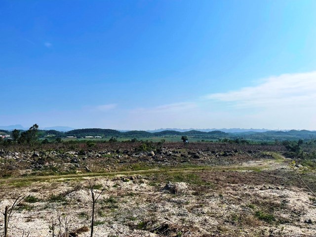 'Treo' 65 héc ta đất suốt 12 năm 'Treo' 65 héc ta đất suốt 12 năm