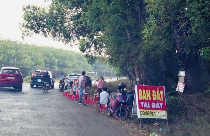 Nóng trong tuần: Hạ tầng trên giấy, đất Bình Phước lại sốt?