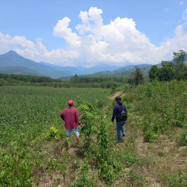 Sốt đất ở xứ Trầm Hương, cò chạy loạn xạ Sốt đất ở xứ Trầm Hương, cò chạy loạn xạ