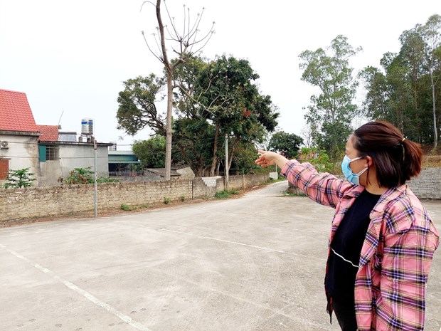 Quảng Ninh: Người dân vùng dự án 'sống mòn' vì quy hoạch 'treo'