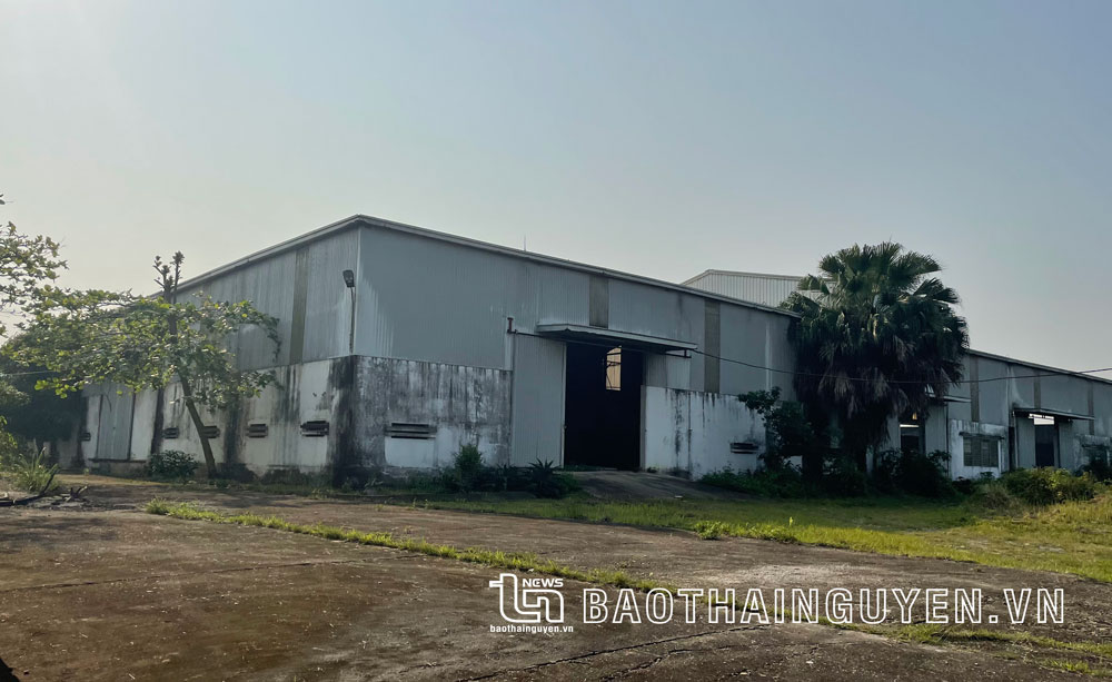 Dự án Trung tâm Nông nghiệp ứng dụng công nghệ cao: Vẫn im hơi, lặng tiếng