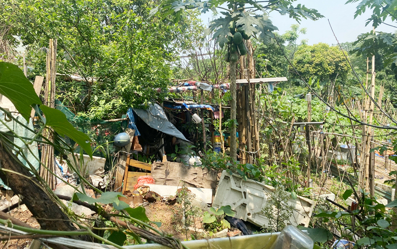 Ngăn chặn vi phạm đất đai tại bãi sông Hồng