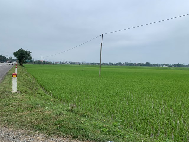 Vụ 'thổi giá' đất đấu giá ở Hà Tĩnh: Liệu có 'chìm xuồng'?