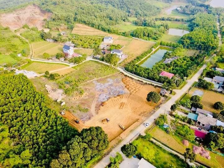 Ngậm trái đắng vì ôm đất nông nghiệp Ngậm trái đắng vì ôm đất nông nghiệp