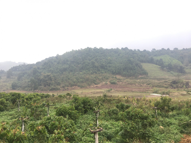 Ngậm trái đắng vì ôm đất nông nghiệp Ngậm trái đắng vì ôm đất nông nghiệp