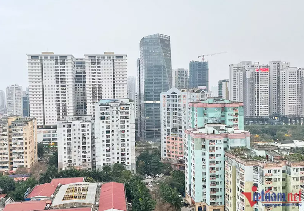 Ôm 3 căn hộ chục tỷ, nhà xuống cấp, cho thuê thu tiền lẻ nhưng hỏi mua không bán