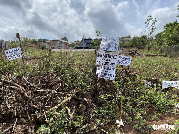 Cần sóng và đón sóng