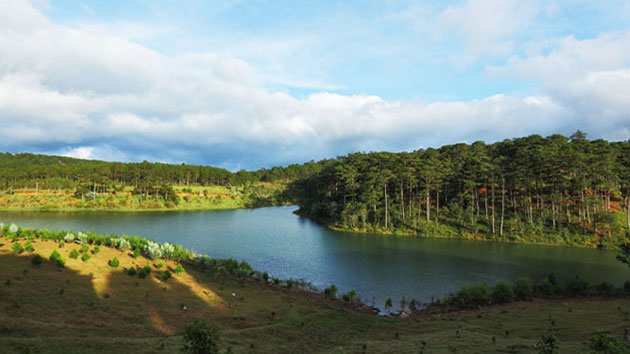 Lâm Đồng bất ngờ tạm dừng nhận hồ sơ thuê môi rừng để kinh doanh du lịch sinh thái, nghỉ dưỡng, giải trí