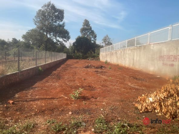 'Cò' đất đột ngột mất hút, điểm nóng 'sốt' đất ở Tây Nguyên ê chề, giá lao dốc không phanh 'Cò' đất đột ngột mất hút, điểm nóng 'sốt' đất ở Tây Nguyên ê chề, giá lao dốc không phanh