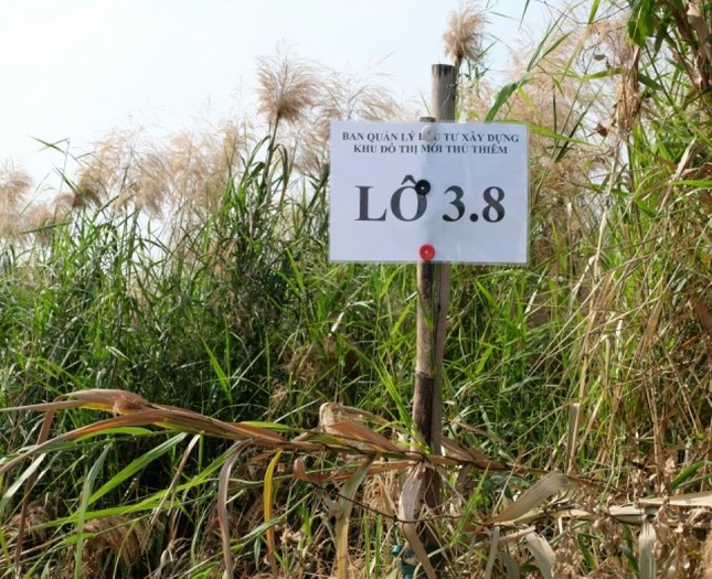 'Chốt' thời hạn hai công ty trúng đấu giá đất Thủ Thiêm bị mất cọc, hủy hợp đồng 'Chốt' thời hạn hai công ty trúng đấu giá đất Thủ Thiêm bị mất cọc, hủy hợp đồng