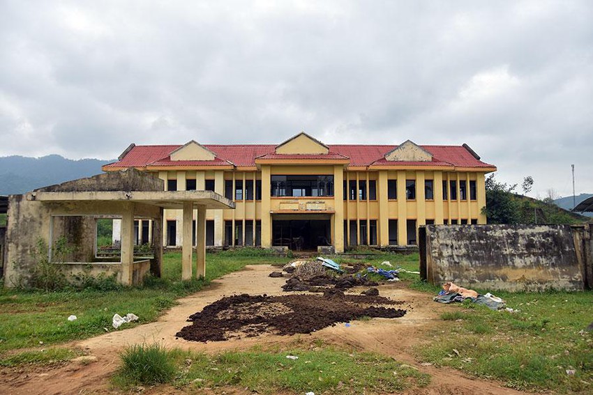 Dự án nhà máy xi măng 4.000 tỉ để… nuôi bò Dự án nhà máy xi măng 4.000 tỉ để… nuôi bò