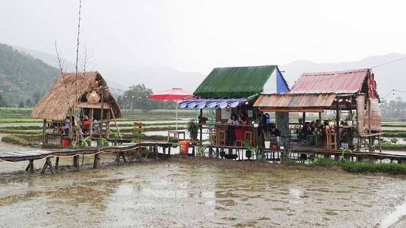 Nhiều khu du lịch sinh thái tự phát mọc trên đất nông nghiệp Nhiều khu du lịch sinh thái tự phát mọc trên đất nông nghiệp
