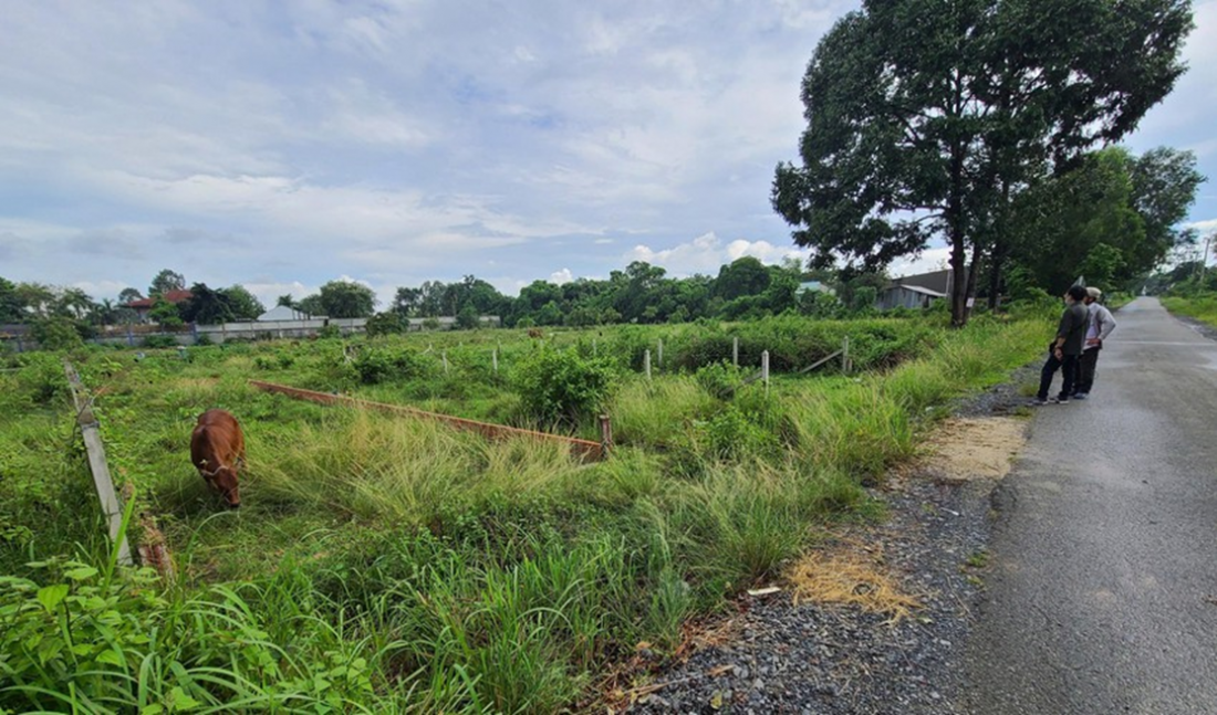 Cò đất náo loạn vùng ven TP.HCM Cò đất náo loạn vùng ven TP.HCM