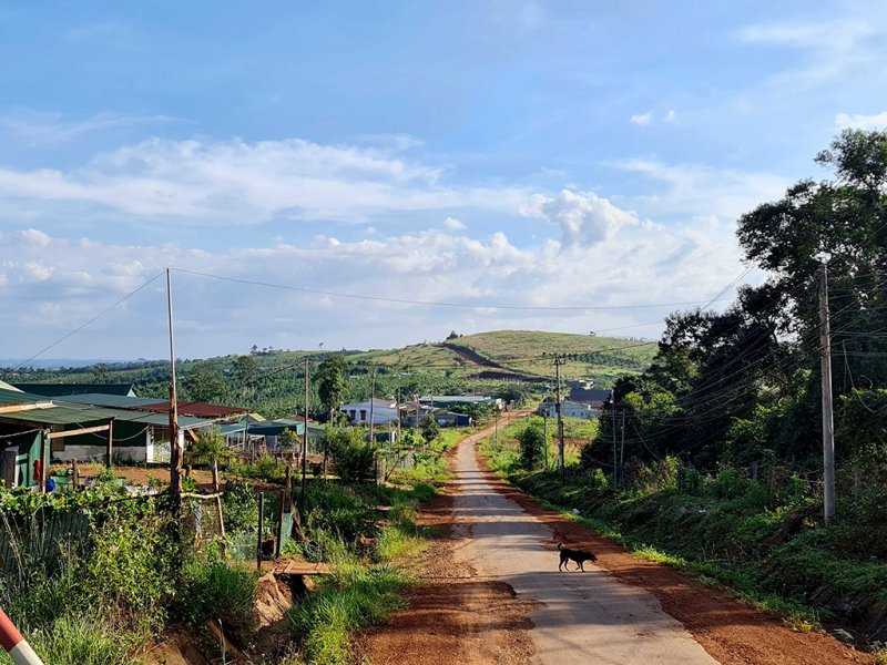 Nhà đầu tư thuê đất rồi bỏ hoang, để mặc dân lấn chiếm