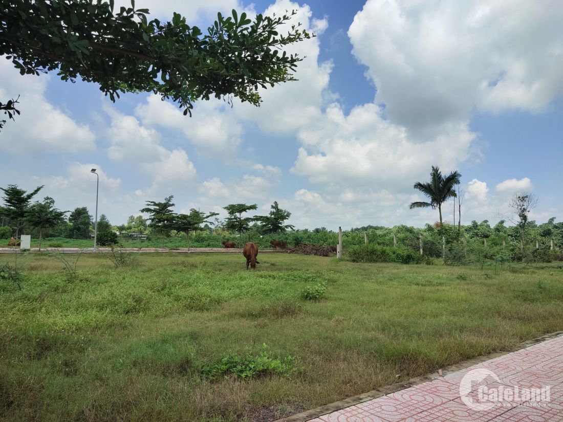 Có 1 tỉ đồng, đầu tư ở tọa độ nào để đón sóng Vành đai 3 TP.HCM? Có 1 tỉ đồng, đầu tư ở tọa độ nào để đón sóng Vành đai 3 TP.HCM?